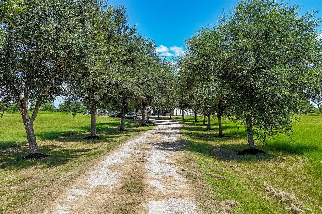 29400 Waller Gladish Road Waller, TX 77484 - Photo 3 of 39 a view of a park with large trees