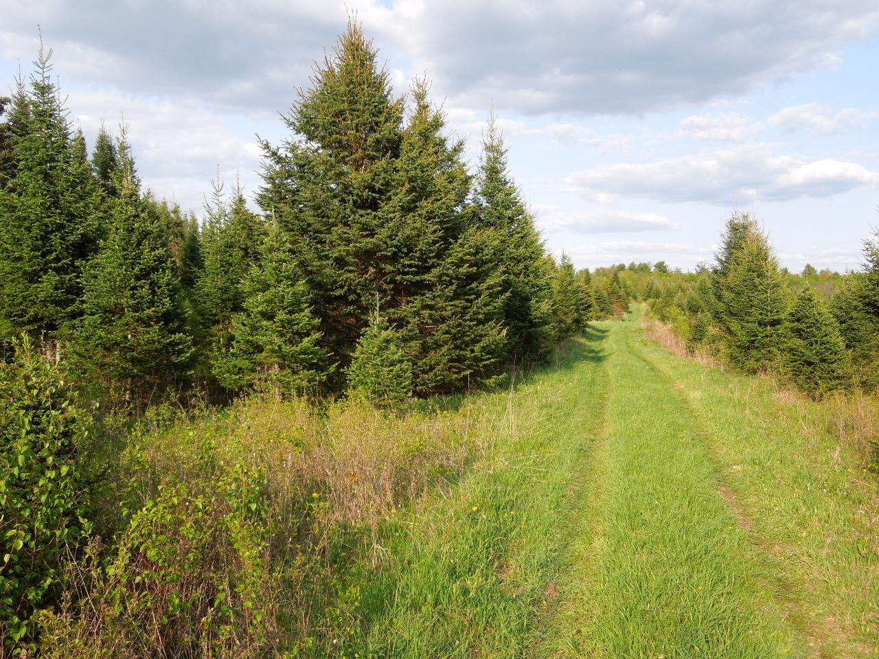 156-on County Line Road Ogema, WI 54459 - Photo 2 of 10 Gallery Image 2
