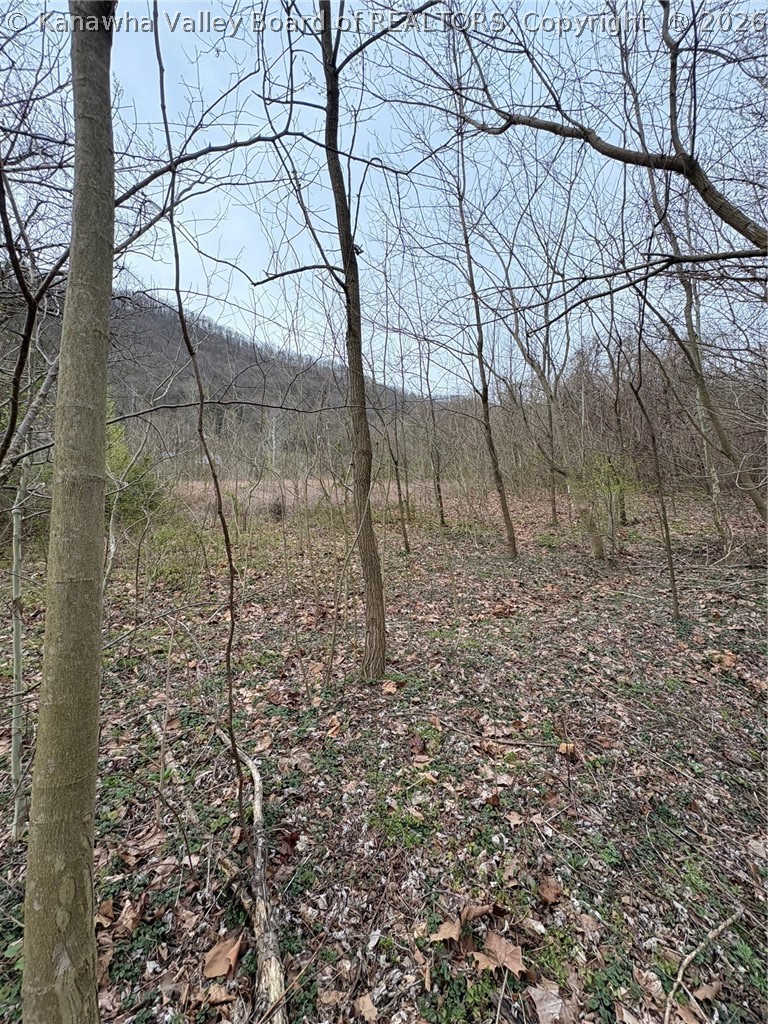 120 River Way Road East Bank, WV 25067 - Photo 9 of 17 Gallery Image 9
