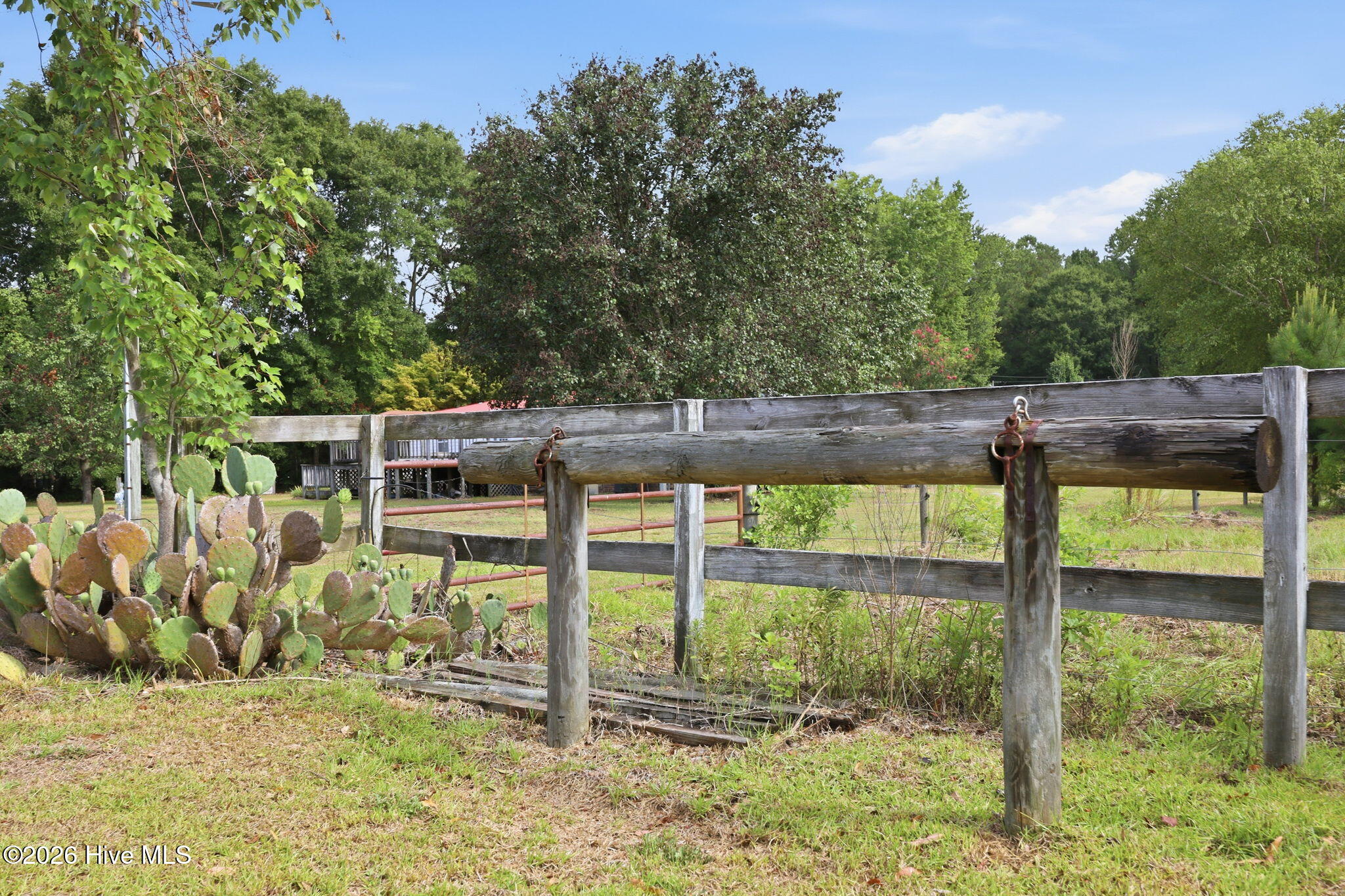 3148 Lewis Haddock Road Grifton, NC 28530 - Photo 7 of 57
