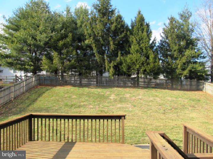104 Macduff Road Newark, DE 19711 - Photo 22 of 24 View in Back