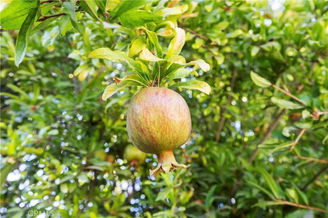 $1,350,000 | 1543 Norwich Avenue, Thousand Oaks, CA 91360