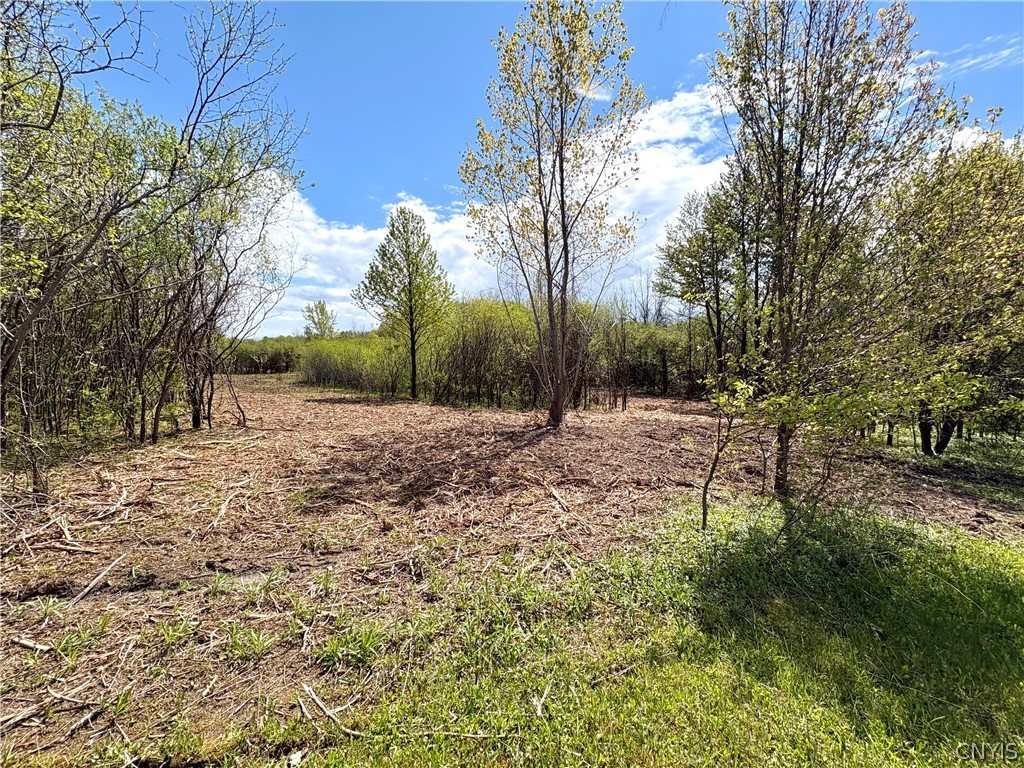 Glanville Road Auburn, NY 13021 - Photo 7 of 13