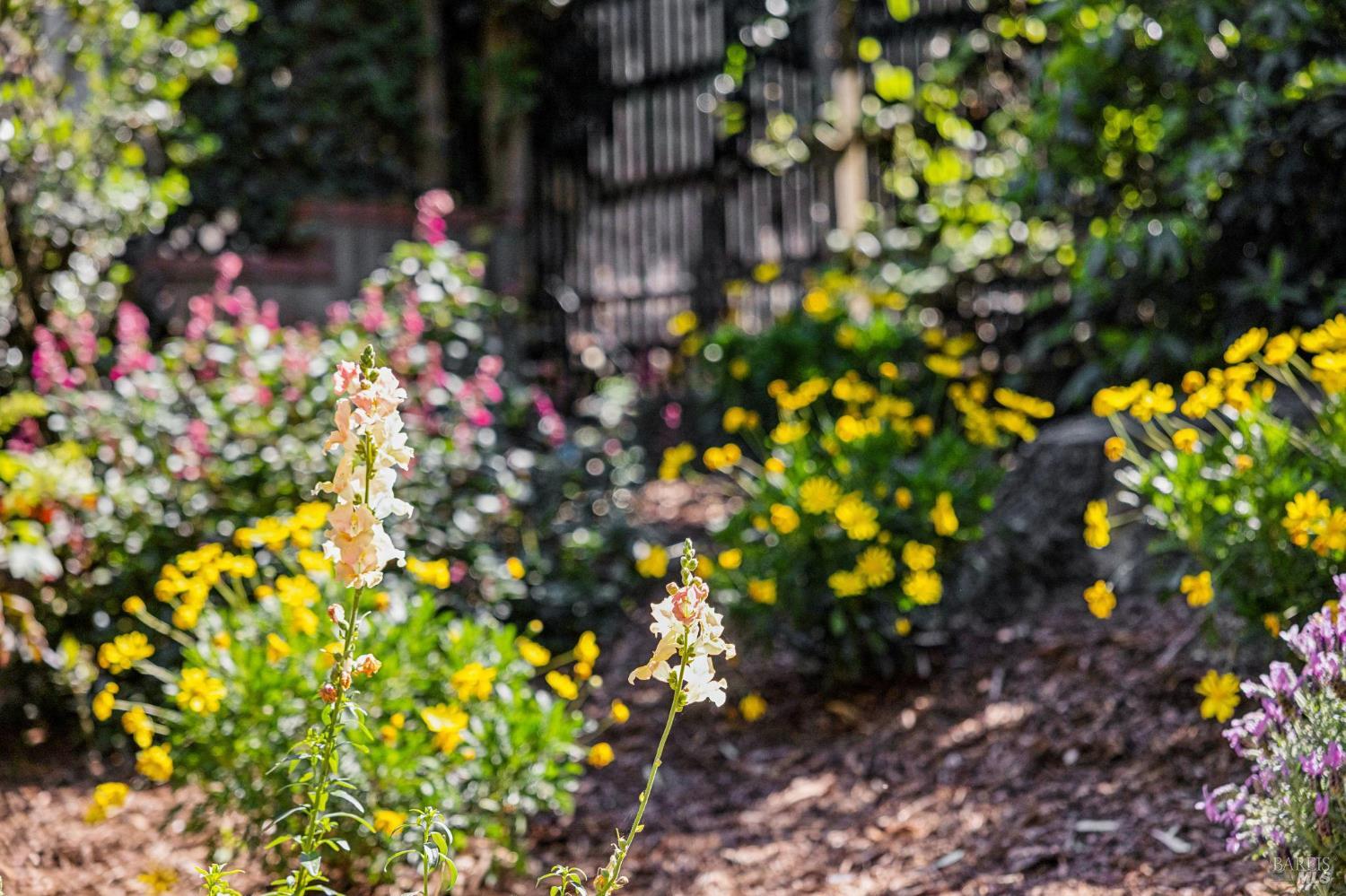 47 Main Drive San Rafael, CA 94901 - Photo 80 of 93