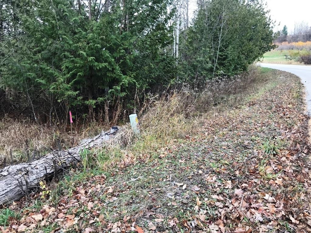 Parcels A & B South Richter Road Suttons Bay, MI 49682 - Photo 22 of 22 1917693-21.JPG