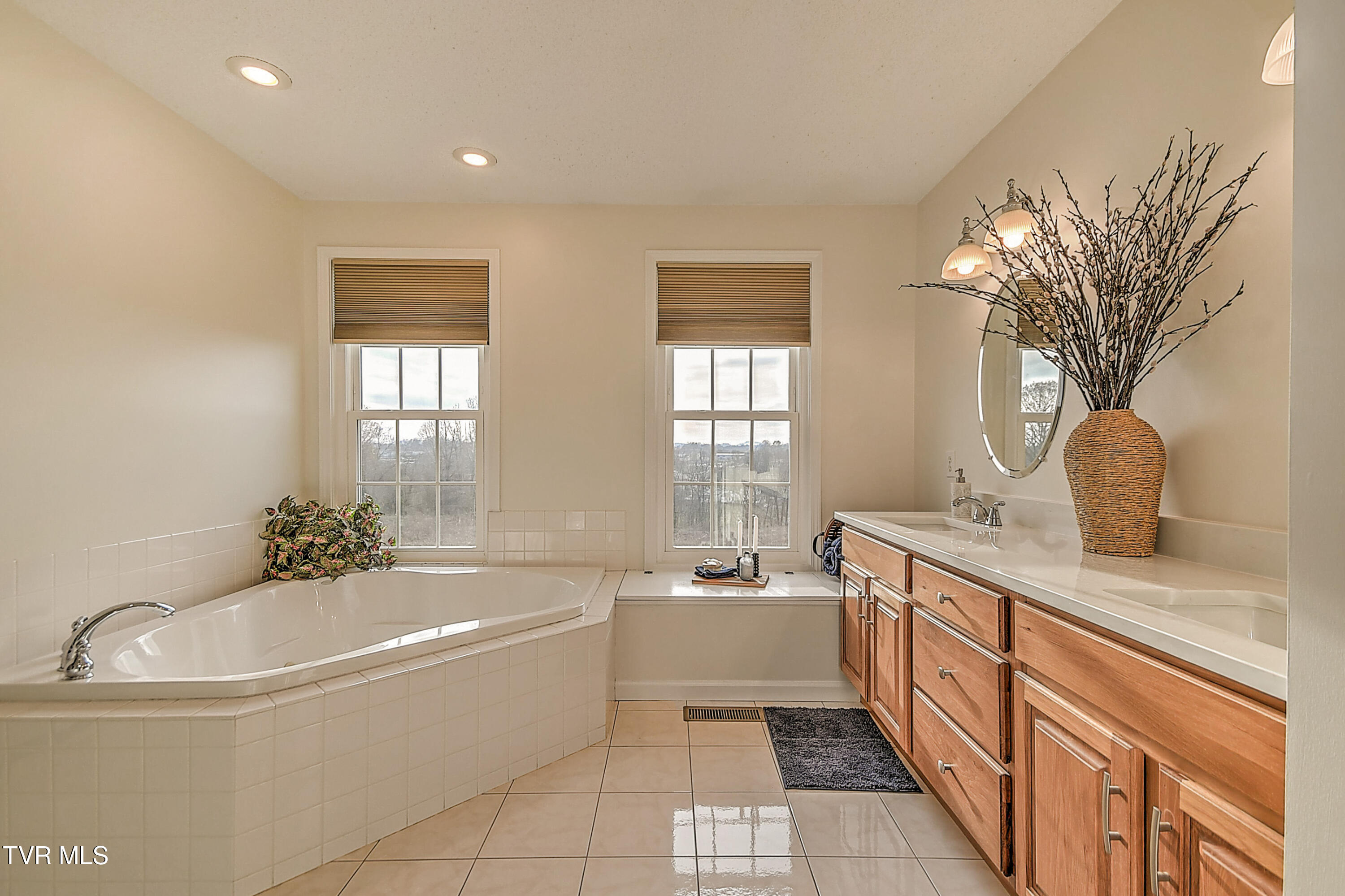 308 Roy Martin Road Gray, TN 37615 - Photo 23 of 65 308 Roy Martin KW-28