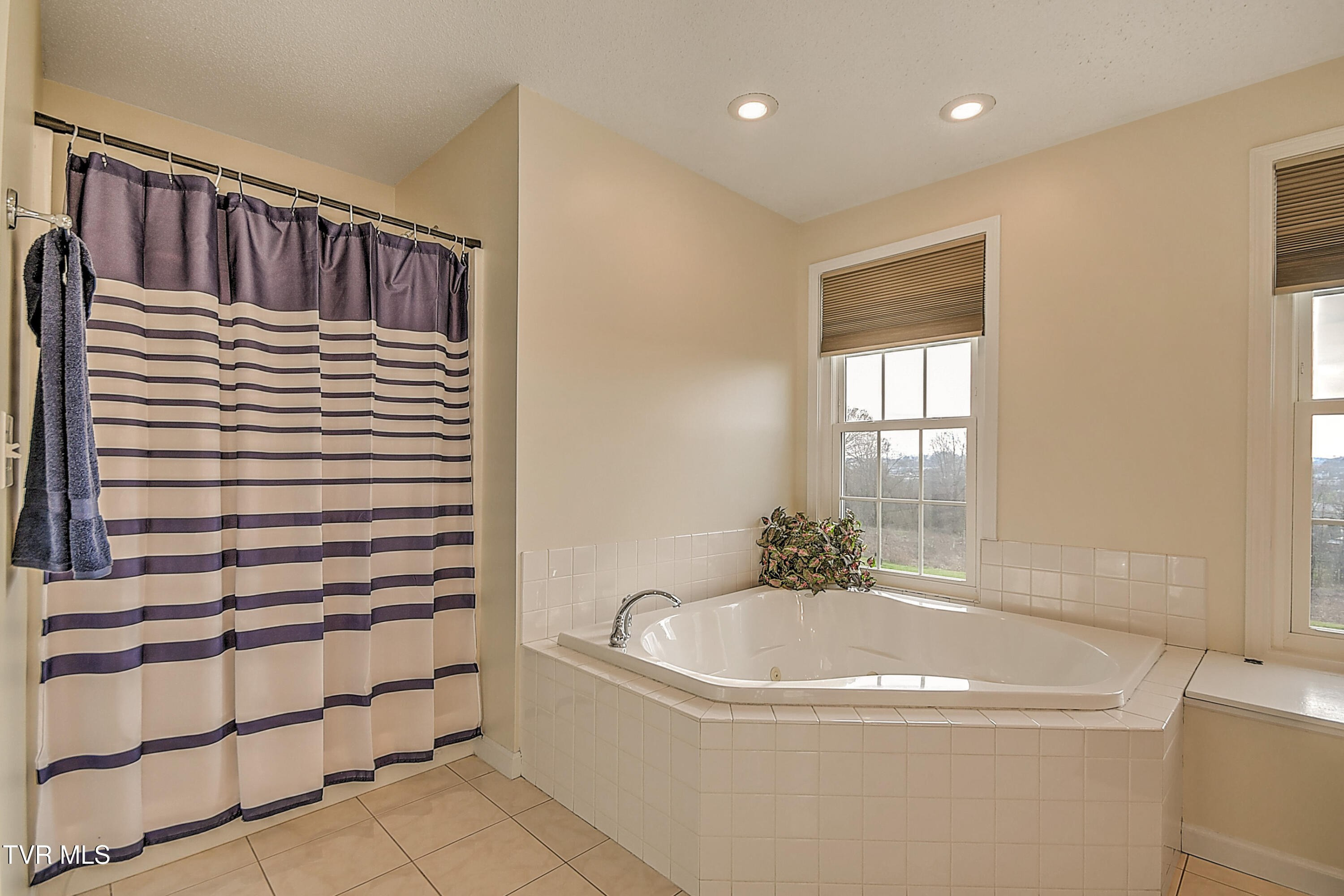 308 Roy Martin Road Gray, TN 37615 - Photo 24 of 65 308 Roy Martin KW-29