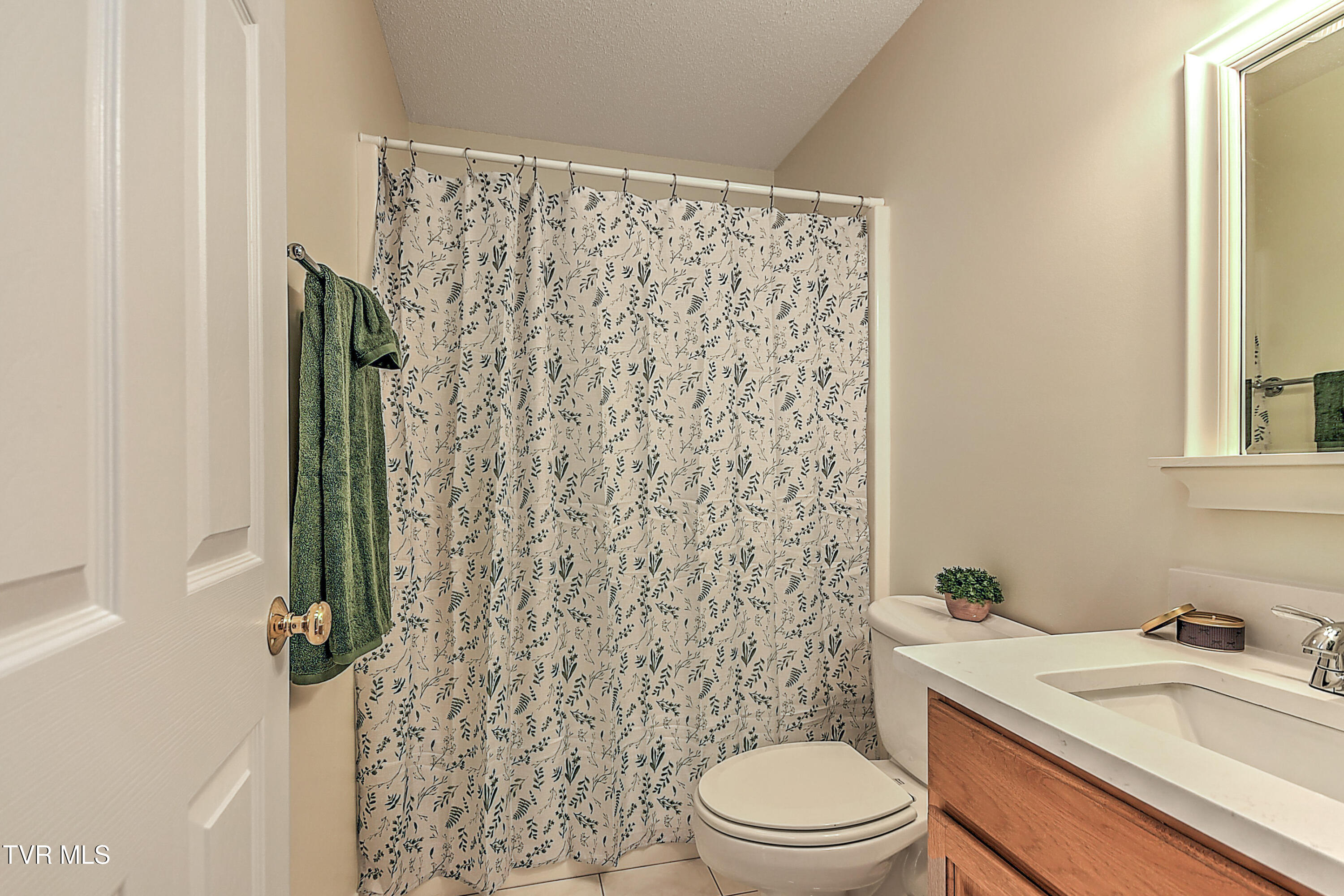 308 Roy Martin Road Gray, TN 37615 - Photo 27 of 65 308 Roy Martin KW-33