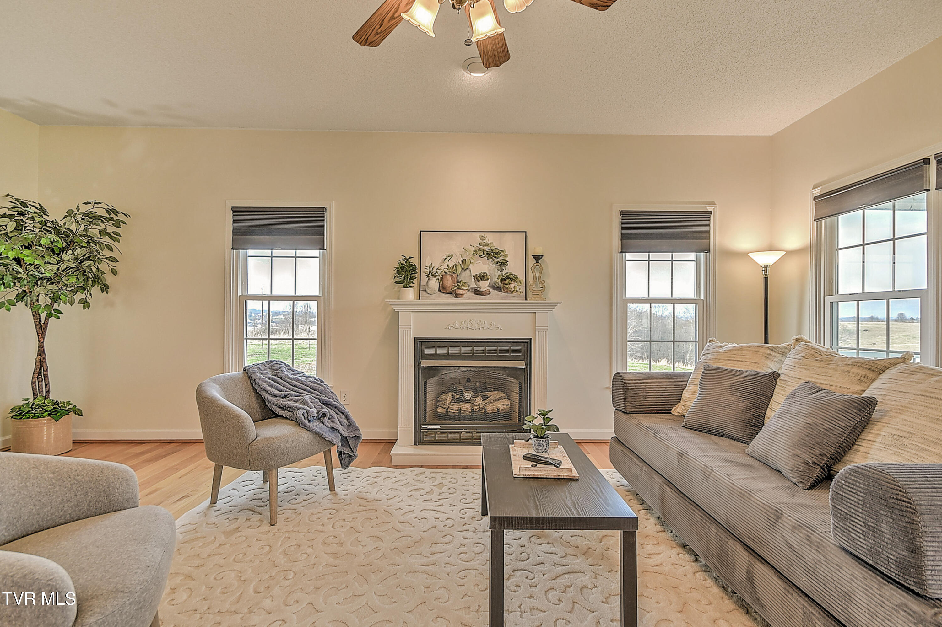 308 Roy Martin Road Gray, TN 37615 - Photo 4 of 65 308 Roy Martin KW-16