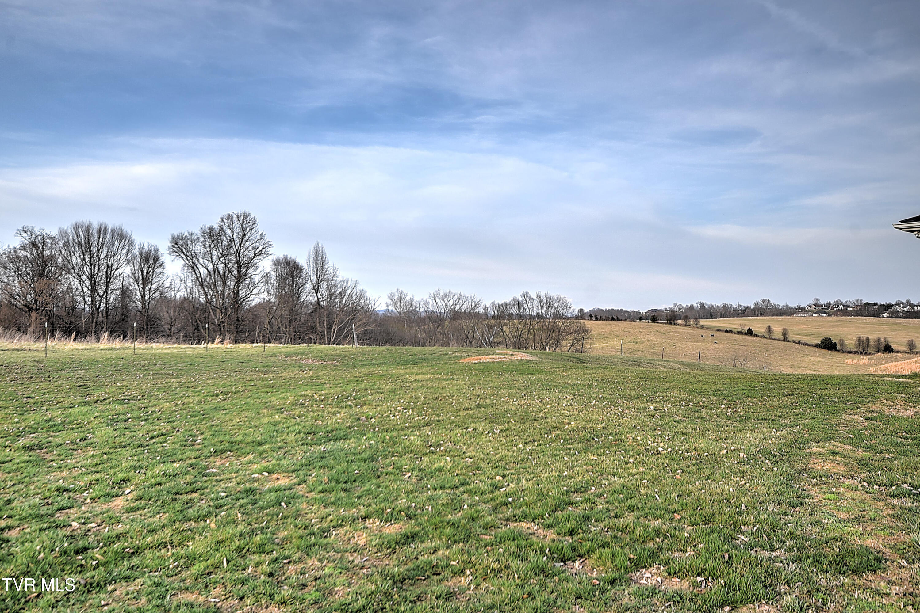 308 Roy Martin Road Gray, TN 37615 - Photo 50 of 65 308 Roy Martin KW-4