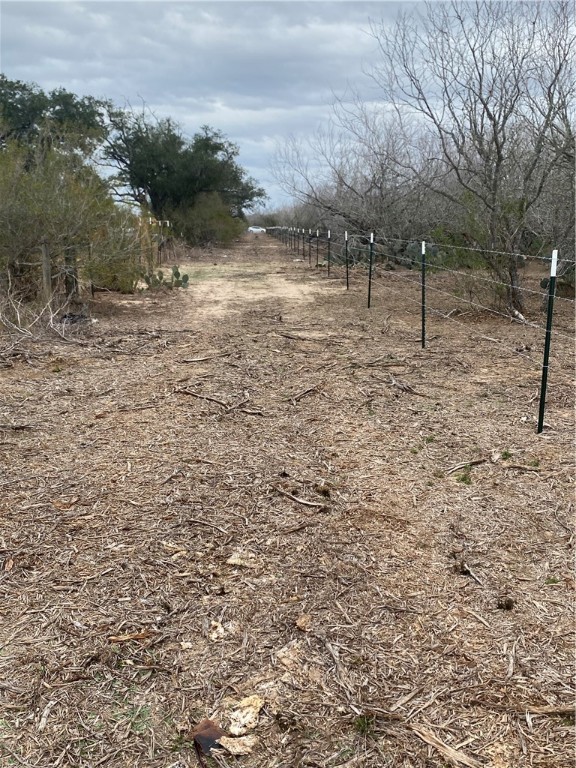 527 County Road 137 Alice, TX 78332 - Photo 32 of 32 a view of a yard with wooden fence