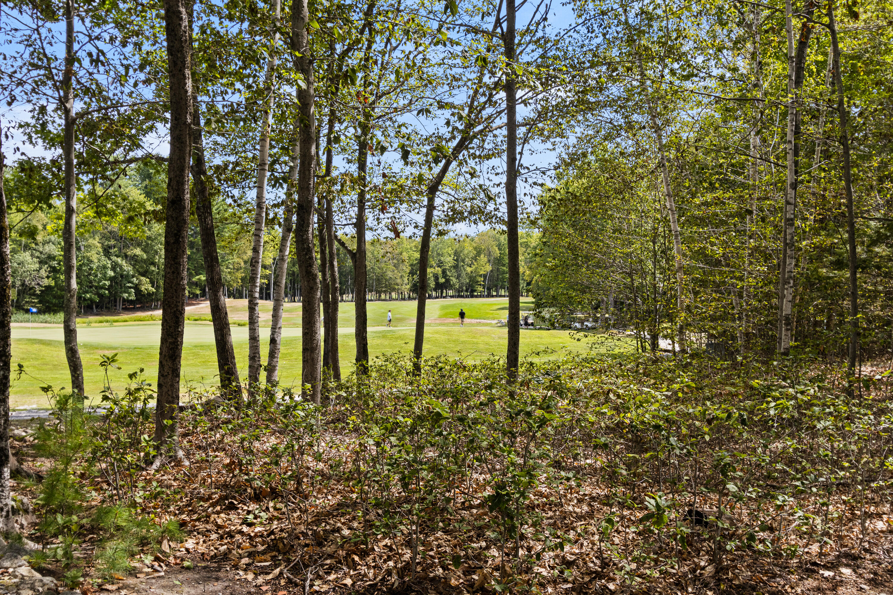 170 High Point Drive Frye Island, ME 04084 - Photo 41 of 45 Course through trees