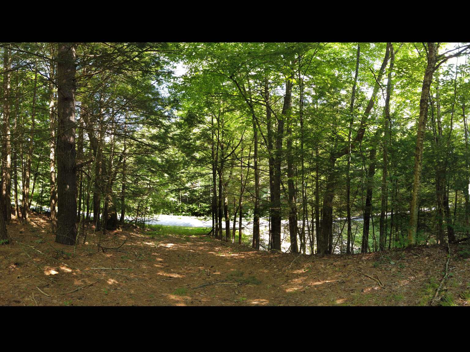 86 Alice Smith Road Walpole, NH 03608 - Photo 14 of 25