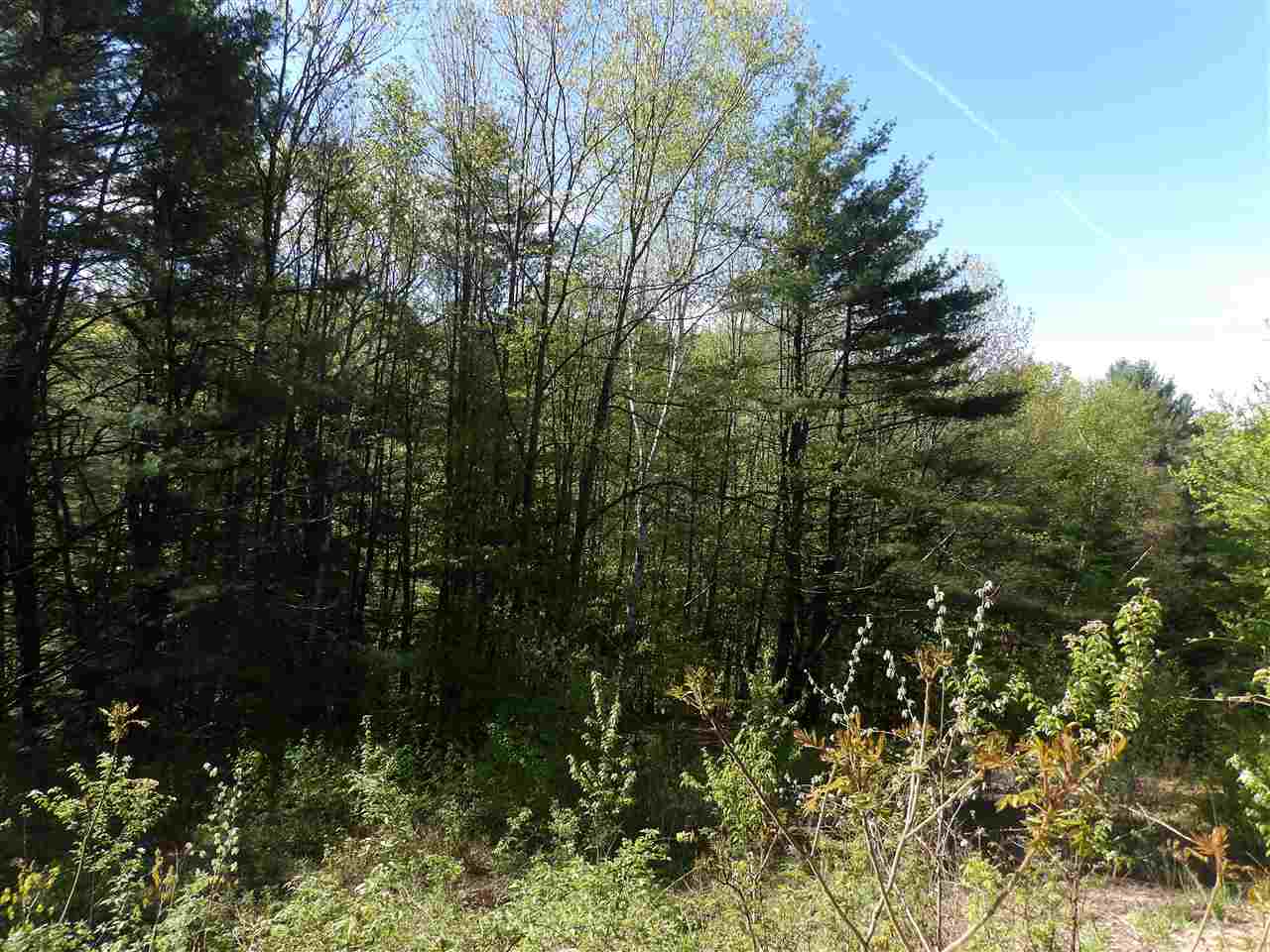 86 Alice Smith Road Walpole, NH 03608 - Photo 3 of 25