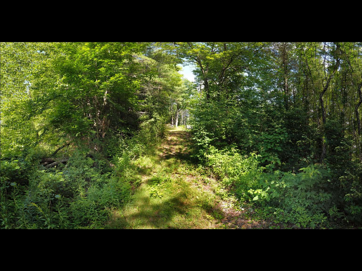 86 Alice Smith Road Walpole, NH 03608 - Photo 21 of 25