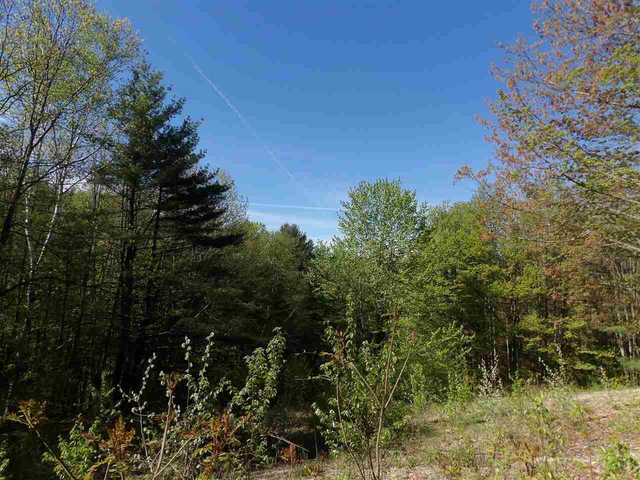 86 Alice Smith Road Walpole, NH 03608 - Photo 4 of 25