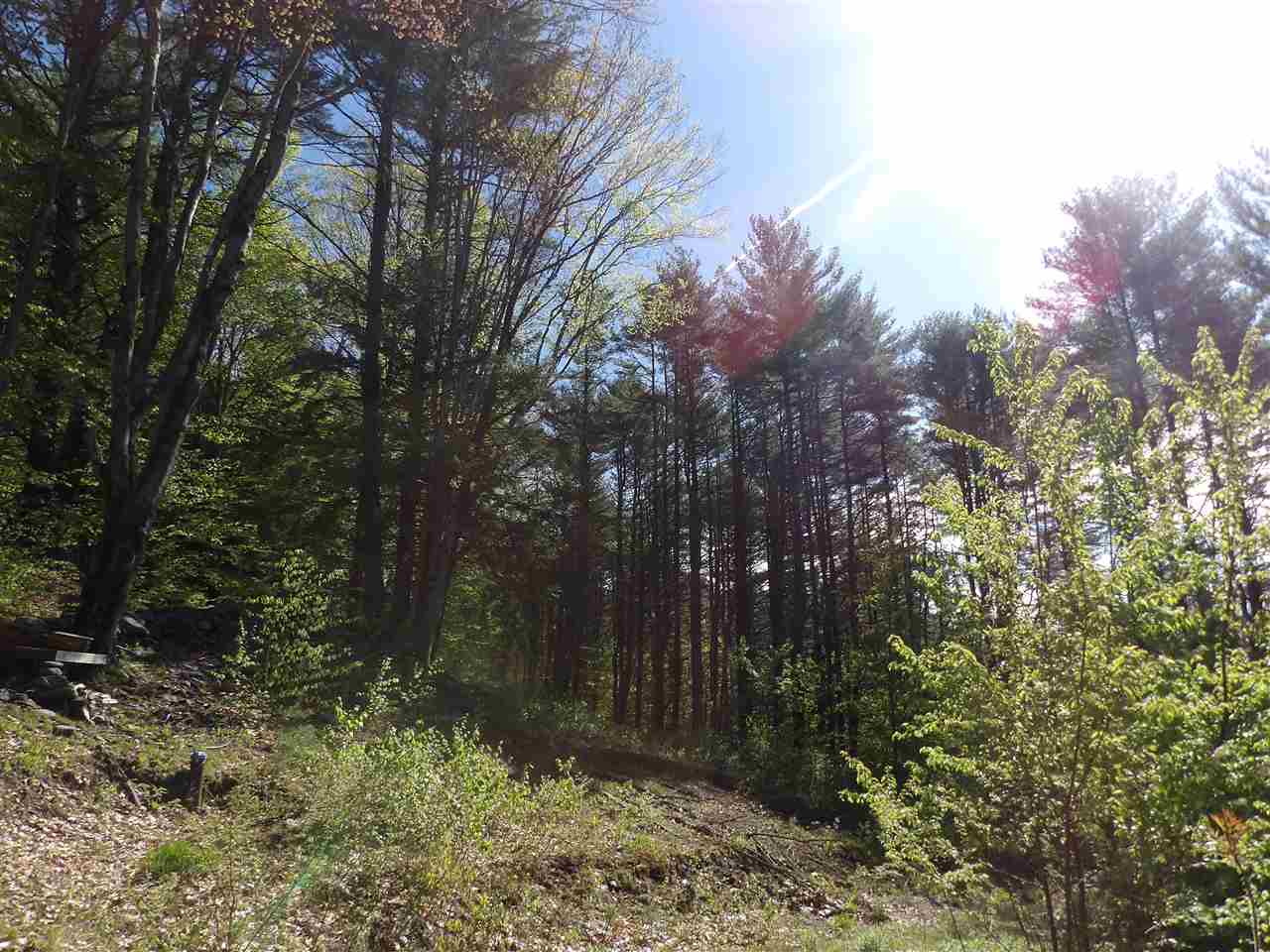 86 Alice Smith Road Walpole, NH 03608 - Photo 5 of 25
