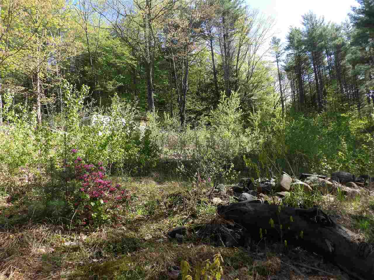86 Alice Smith Road Walpole, NH 03608 - Photo 6 of 25