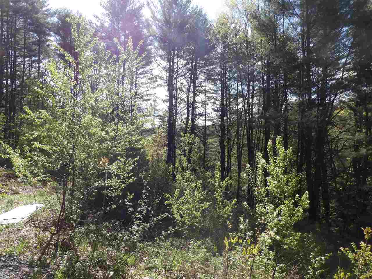 86 Alice Smith Road Walpole, NH 03608 - Photo 8 of 25