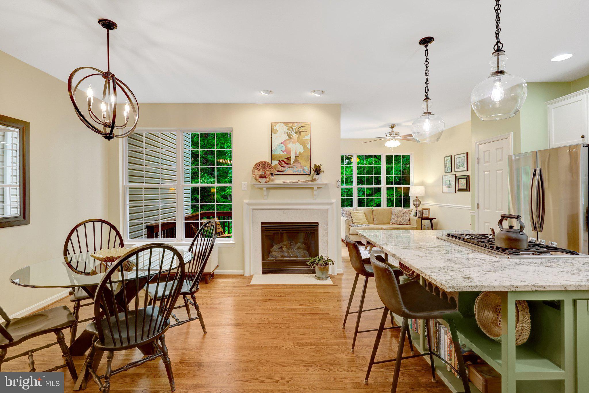 1224 Wild Hawthorn Way Reston, VA 20194 - Photo 15 of 71 Cozy Gas Fireplace