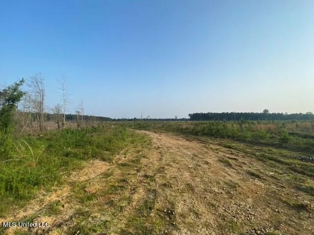 $495,425 | Barker Road, Morton, MS 39117