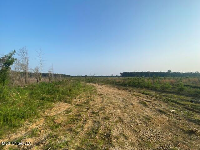 Barker Road Morton, MS 39117 - Photo 12 of 22 IMG_9216