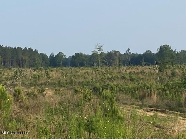 Barker Road Morton, MS 39117 - Photo 15 of 22 IMG_9220