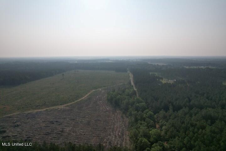 Barker Road Morton, MS 39117 - Photo 10 of 22 DJI_0185