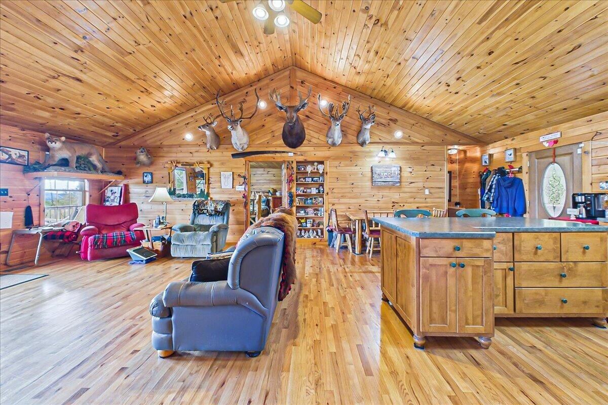 810 Belltown Road Tellico Plains, TN 37385 - Photo 33 of 53
