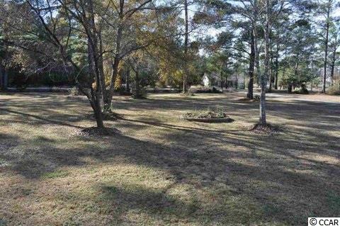 6175 Flossie Road Conway, SC 29527 - Photo 15 of 19