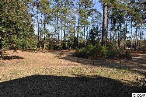 6175 Flossie Road Conway, SC 29527 - Photo 18 of 19