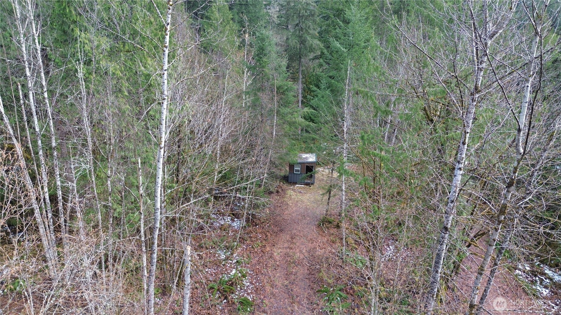 64084 Cascade River Road, Unit D1204 Marblemount, WA 98267 - Photo 14 of 26 a view of a forest filled with trees