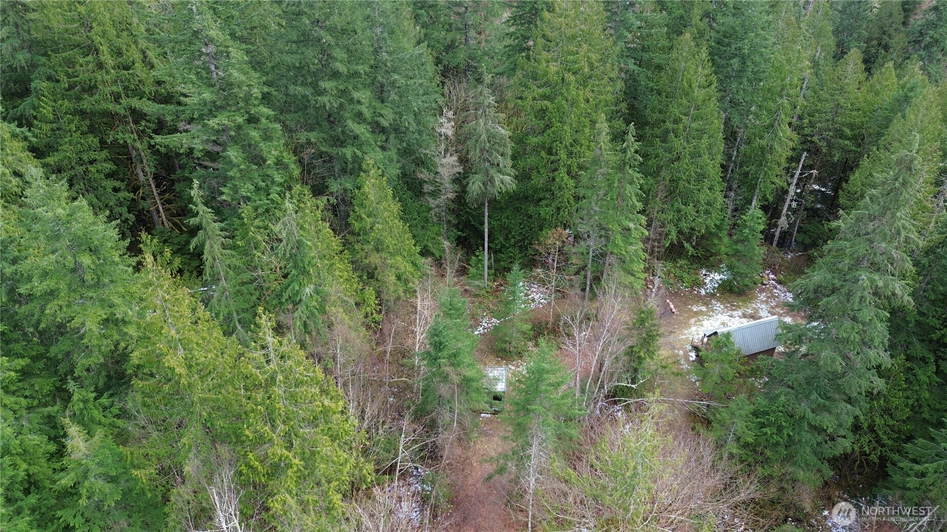64084 Cascade River Road, Unit D1204 Marblemount, WA 98267 - Photo 18 of 26 a view of a lush green forest