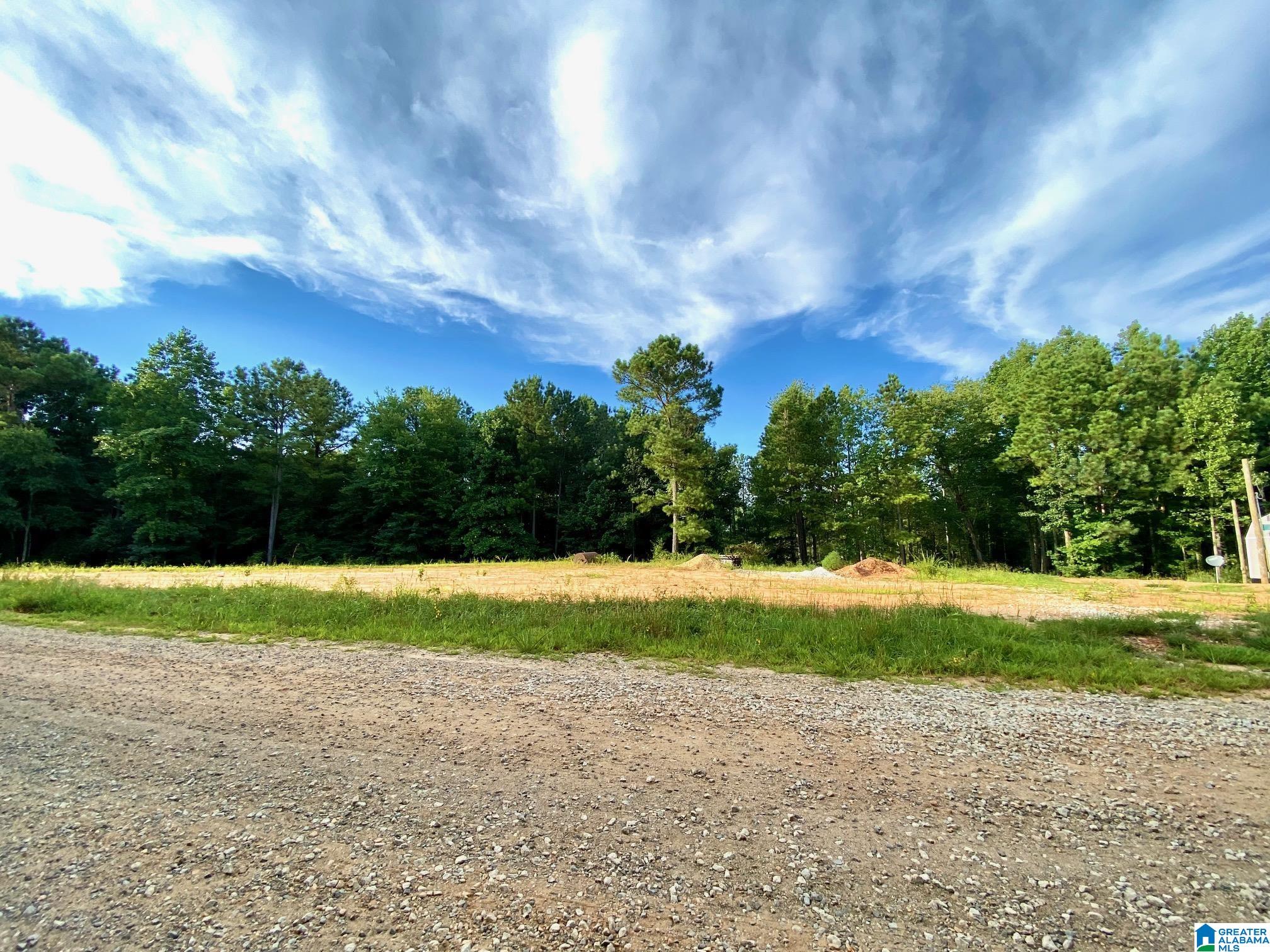 0 County Road 852, Unit 1 Ranburne, AL 36273 - Photo 5 of 11