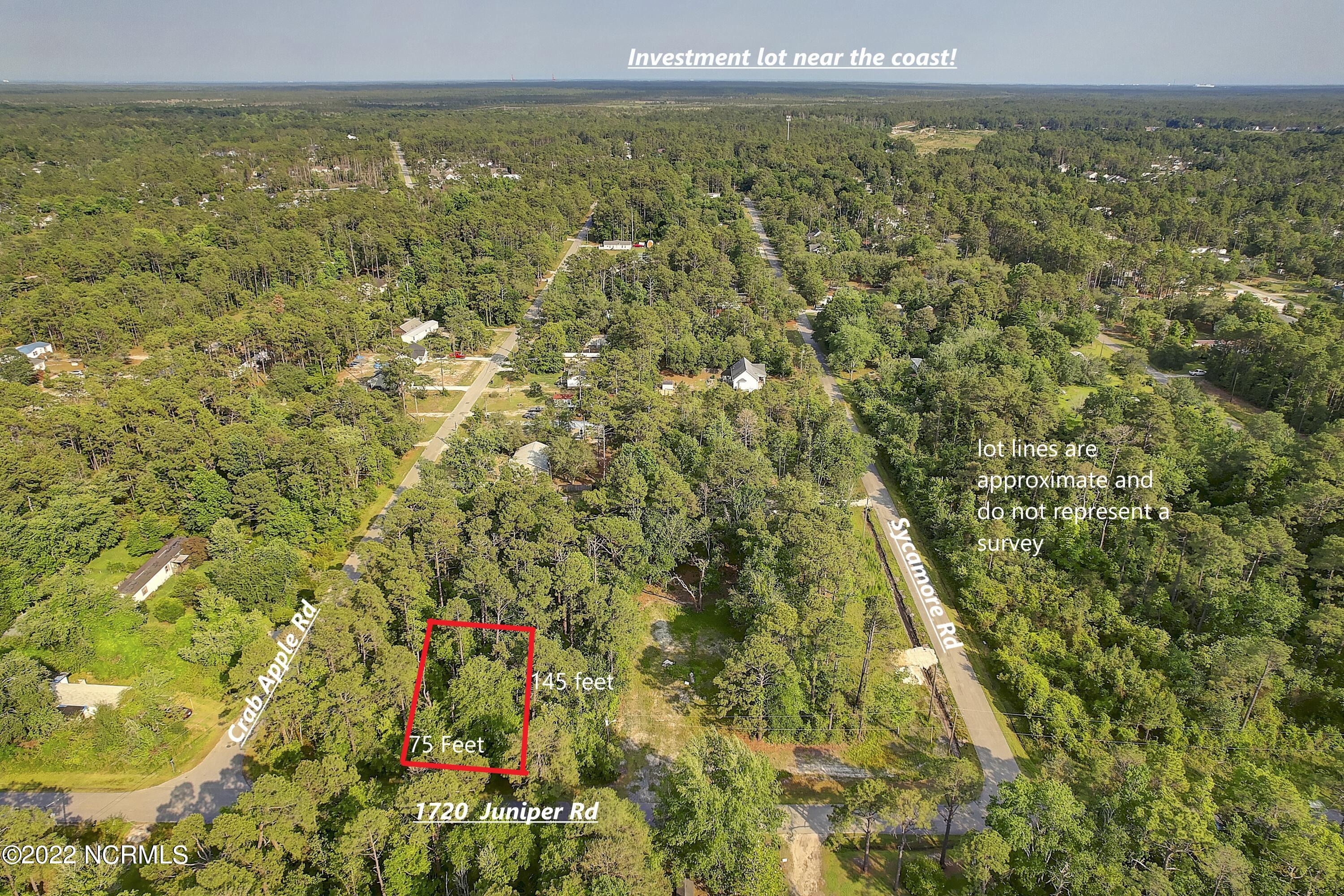 1720 Juniper Road Boiling Spring Lakes, NC 28461 - Photo 1 of 13 Edit 3