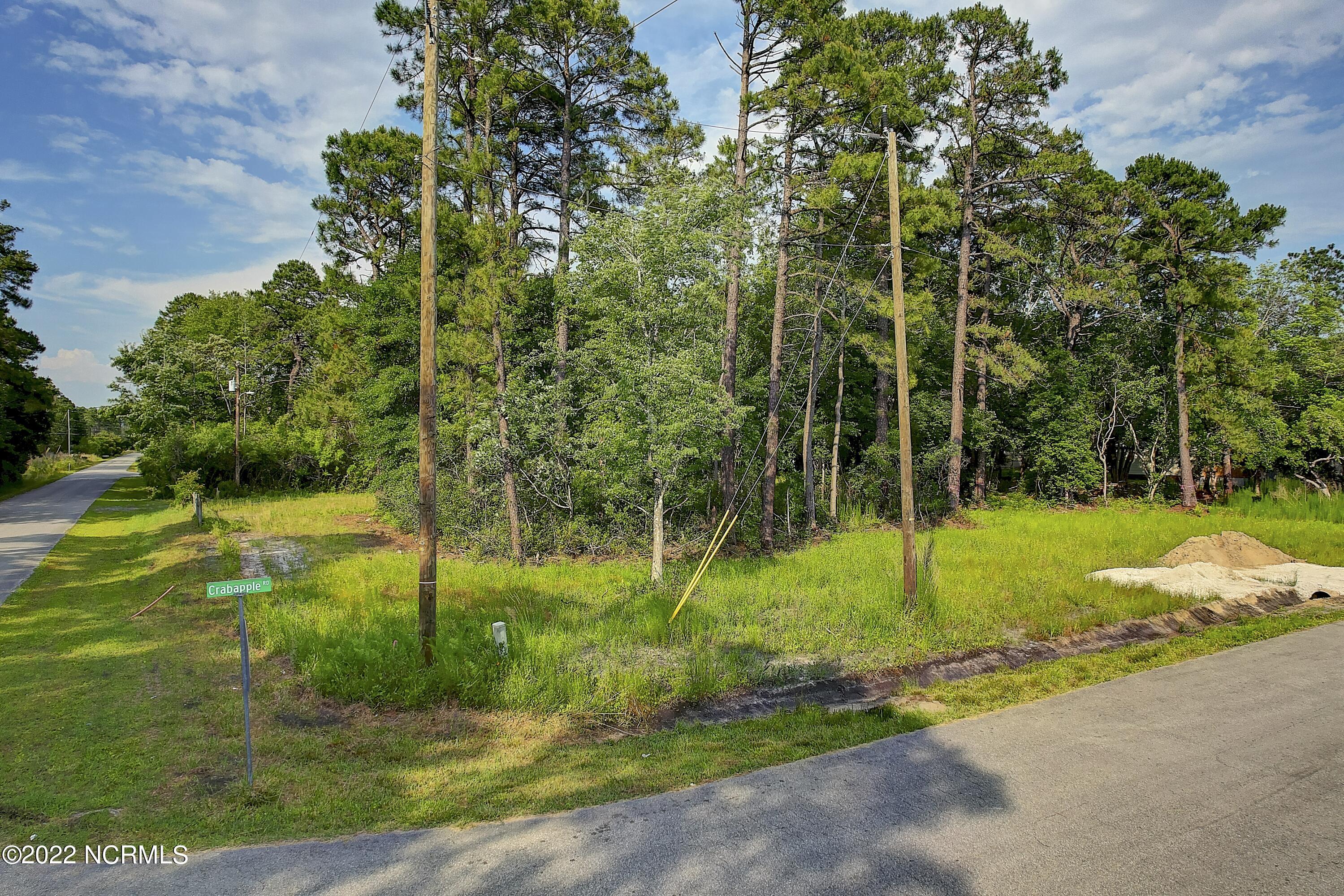 1720 Juniper Road Boiling Spring Lakes, NC 28461 - Photo 3 of 13 1720JuniperRdBSL - 1