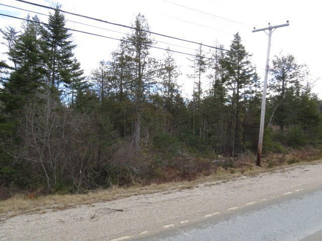 209 Bert Gray Road Sullivan, ME 04664 - Photo 9 of 34 Photo