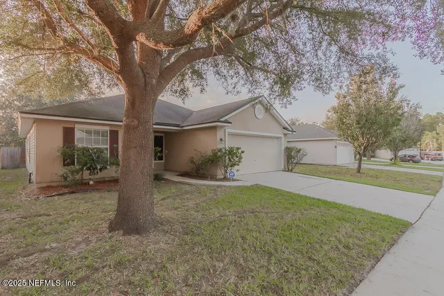 a view of a house with a tree in front of it