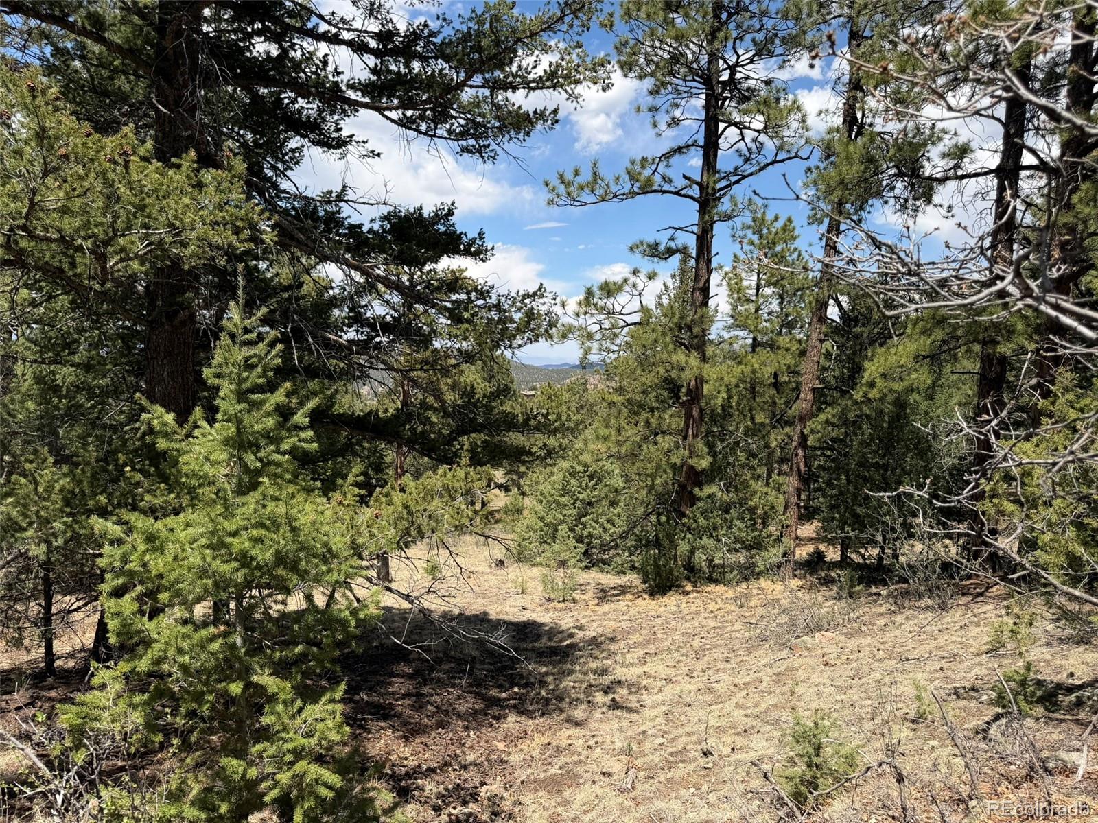 477 Bear Peak Road Westcliffe, CO 81252 - Photo 25 of 39