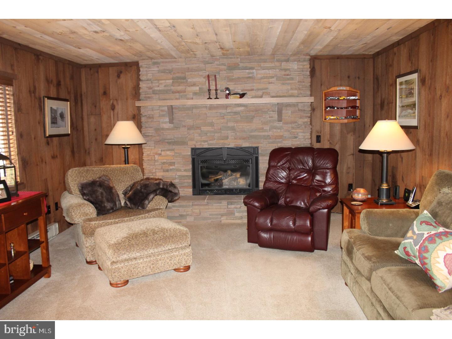 19 Forest View Road Bowers, PA 19539 - Photo 10 of 24 Family Room
