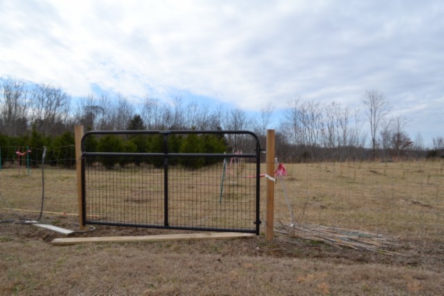 129 Rushing Springs Road Monterey, TN 38574 - Photo 37 of 49 Gallery Image 37
