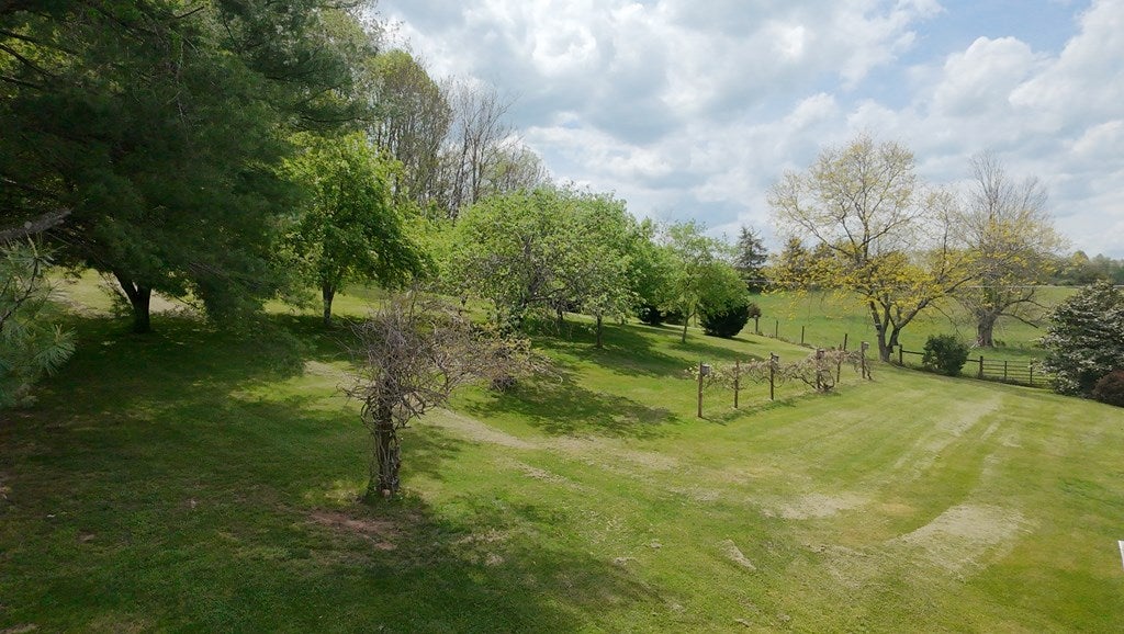 15537 Friendship Road Chilhowie, VA 24319 - Photo 11 of 70 Gallery Image 11