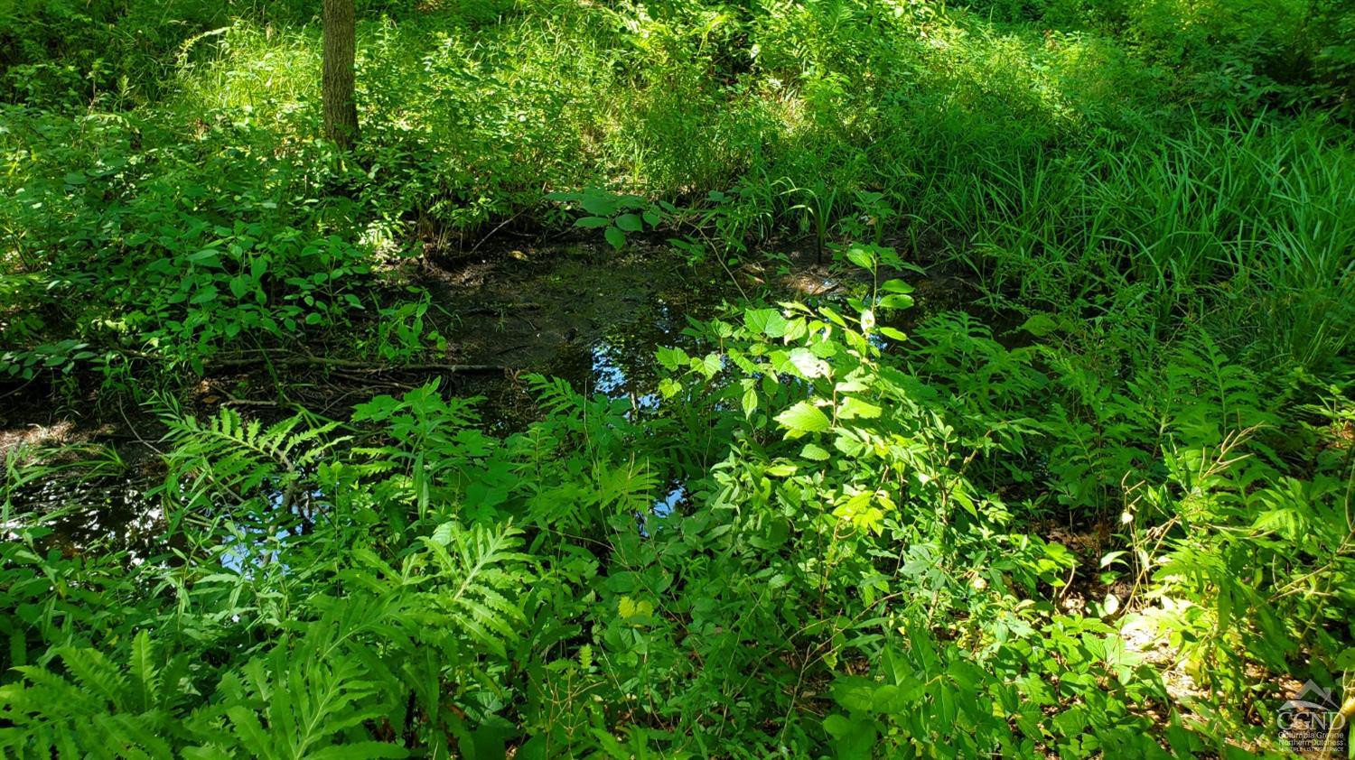 492 Cairo Junction Road Catskill, NY 12414 - Photo 32 of 34 a backyard of a house with lots of green space