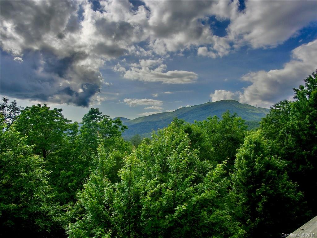 355 Round Top Mountain Road Sapphire, NC 28774 - Photo 22 of 27 Gallery Image 22