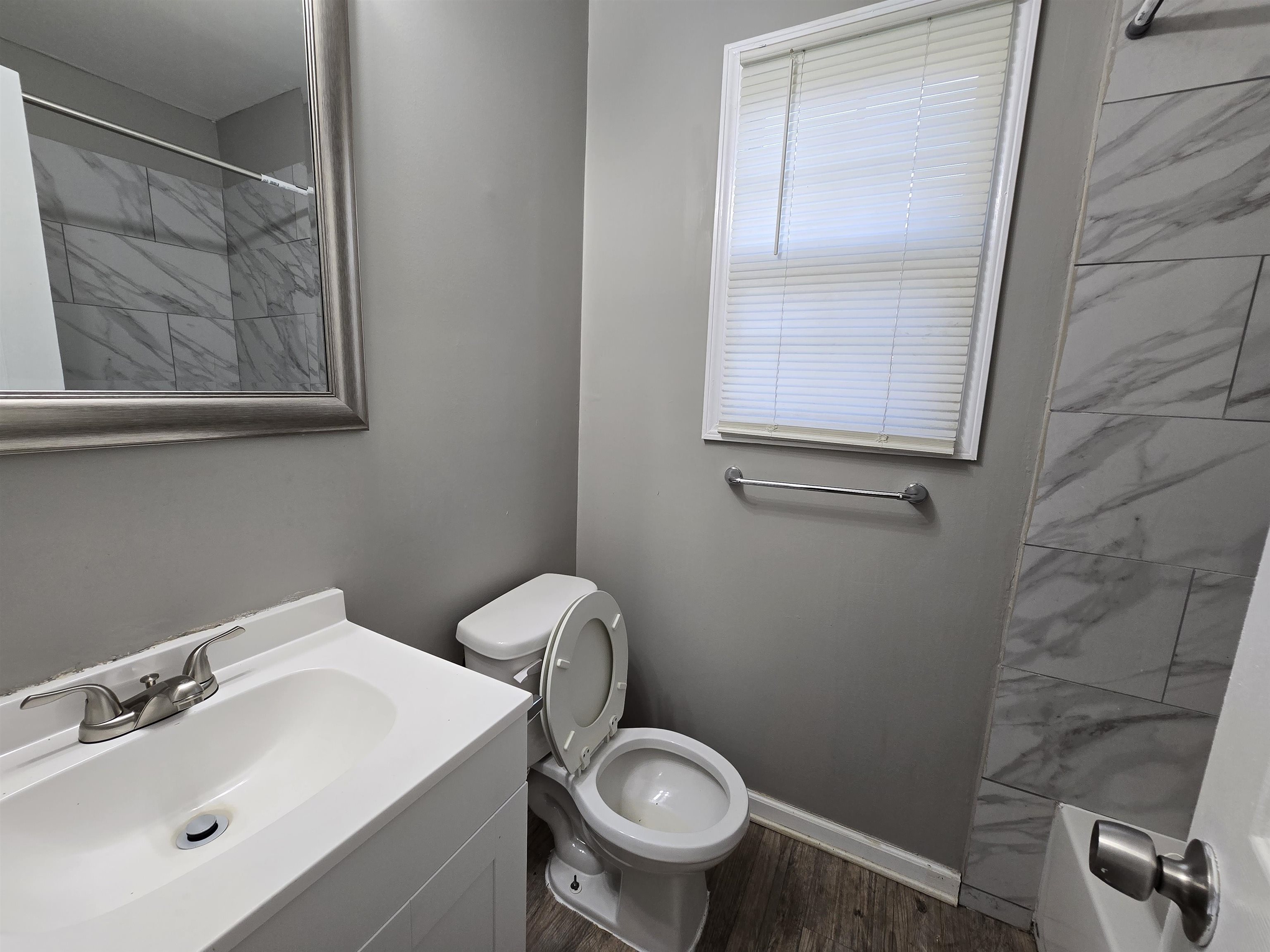 1572 Hanauer Street Memphis, TN 38109 - Photo 15 of 39 a bathroom with a toilet a sink and mirror
