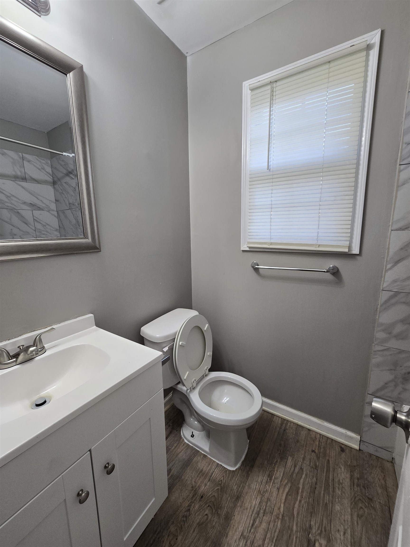 1572 Hanauer Street Memphis, TN 38109 - Photo 16 of 39 a bathroom with a sink a toilet and a mirror