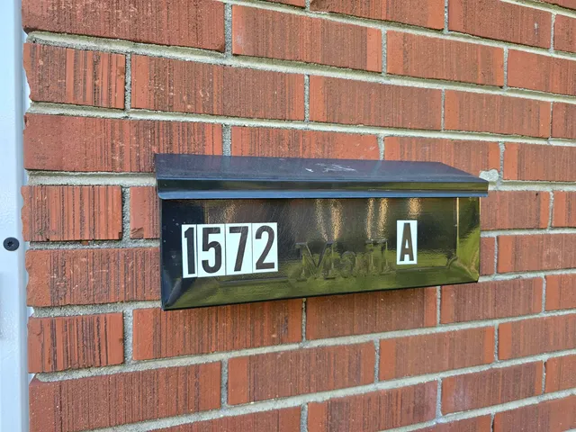 a view of a garden with plants and a large tree