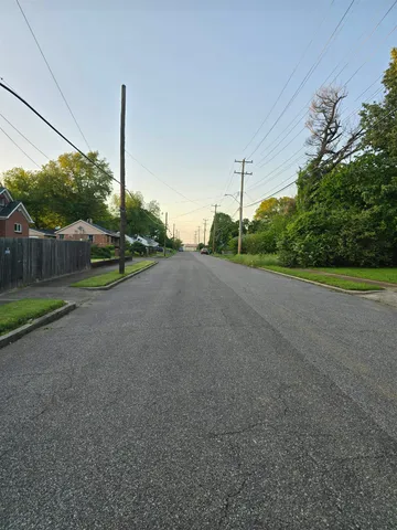 a view of a park with large trees
