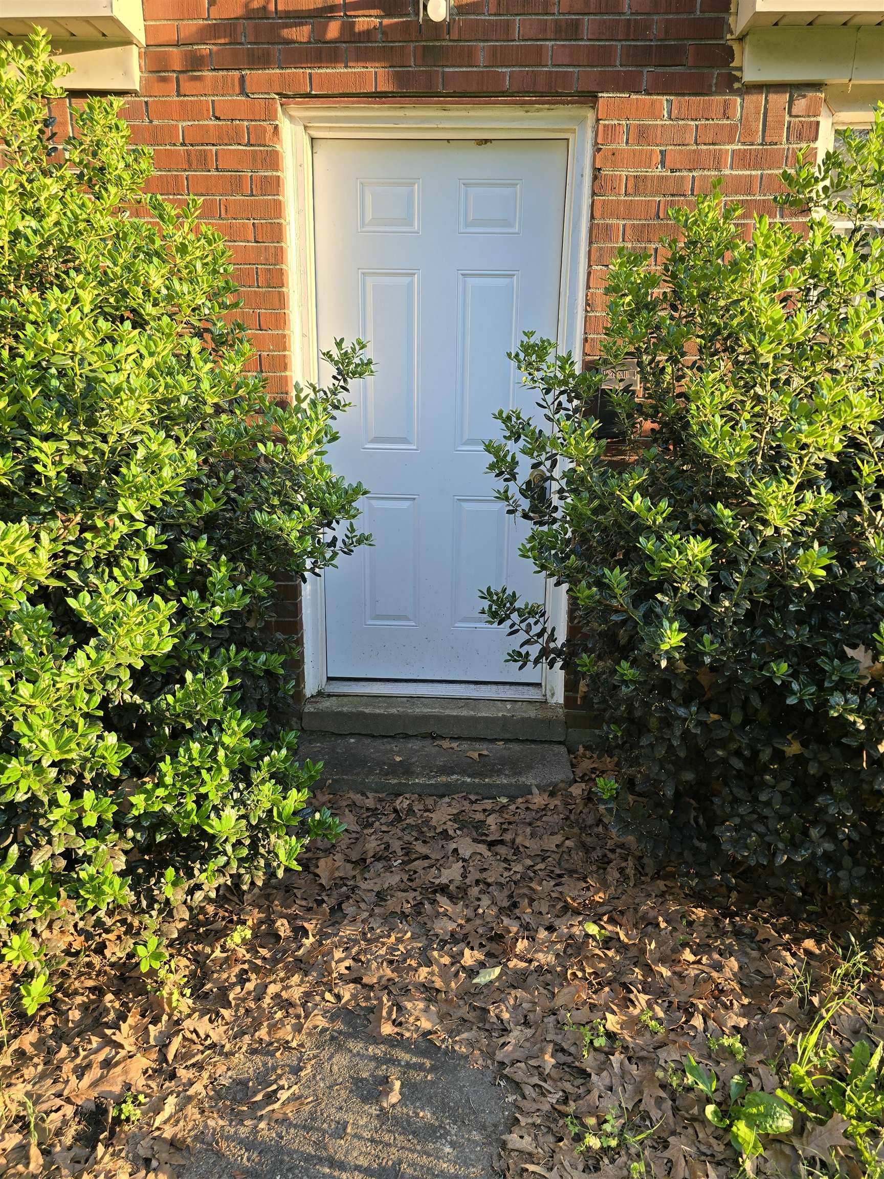 1572 Hanauer Street Memphis, TN 38109 - Photo 37 of 39 Doorway to property with brick siding