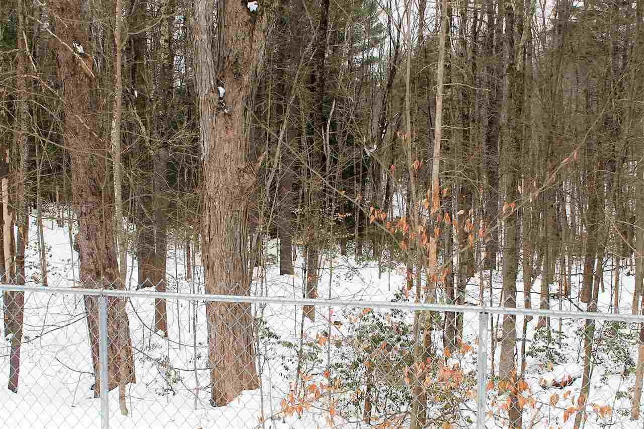 587 Center Road Lyndeborough, NH 03082 - Photo 17 of 18